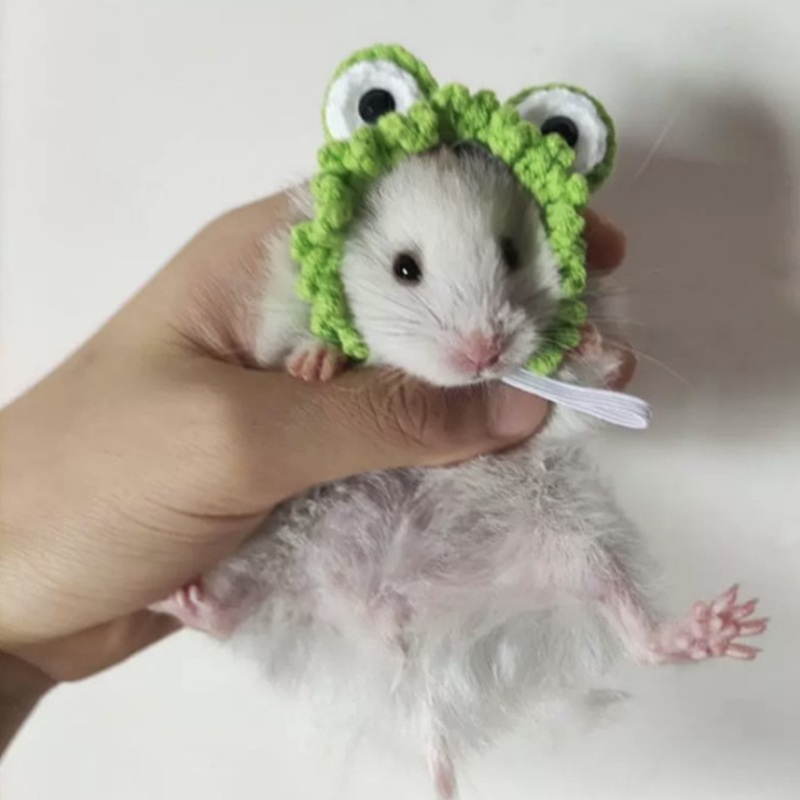 Hamster Guinea Pig Hat Costume Mini Small Pet Item Hat Parrot Funny Headwear Pet Cosplay Outfits For Chinchilla Rabbit Accessory
