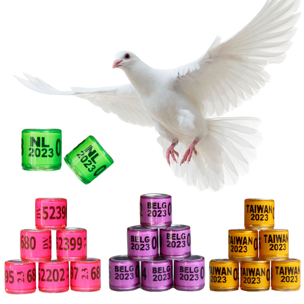 50Pcs/set 2023 Years National Pigeons Foot Ring 8x11mm Pigeons Foot Ring Parrots Leg Rings Birds Training Tool with Nnumbers