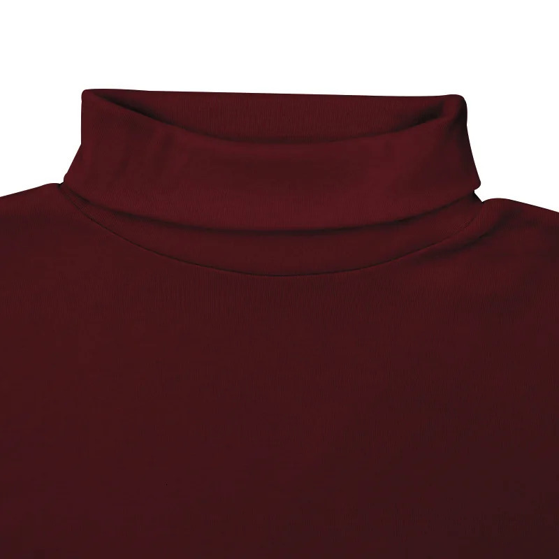 Mens Wine Red Turtleneck Sweater Autumn Winter Cotton Half Casual Solid Color Bottoming Hombre 241111