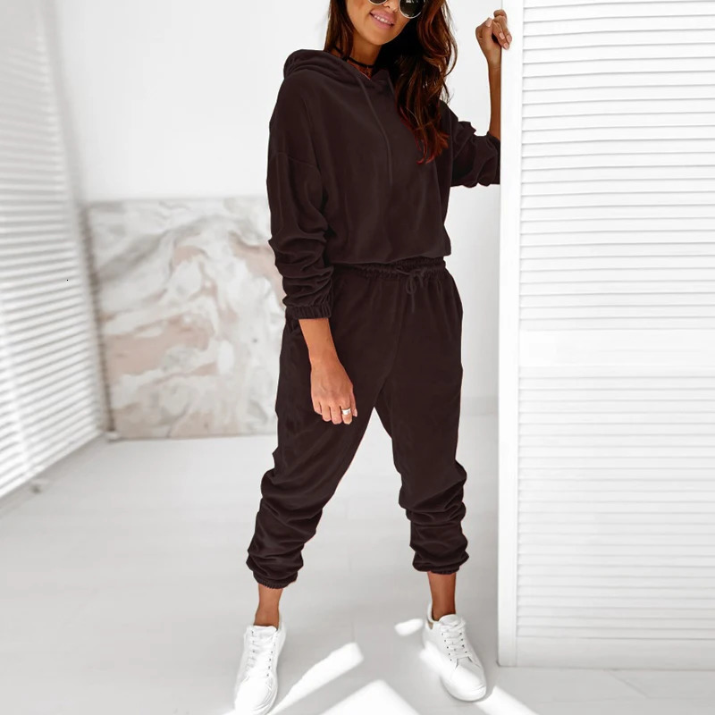 Autumn Winter Velour Tracksuit Women Velvet Set Woman Tracksuit Sets Winter Velvet Suit Two Piece Set Solid Color Hooded Suit 241111