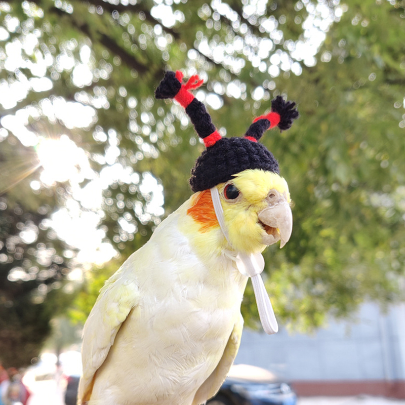 Hamster Guinea Pig Hat Costume Mini Small Pet Item Hat Parrot Funny Headwear Pet Cosplay Outfits For Chinchilla Rabbit Accessory