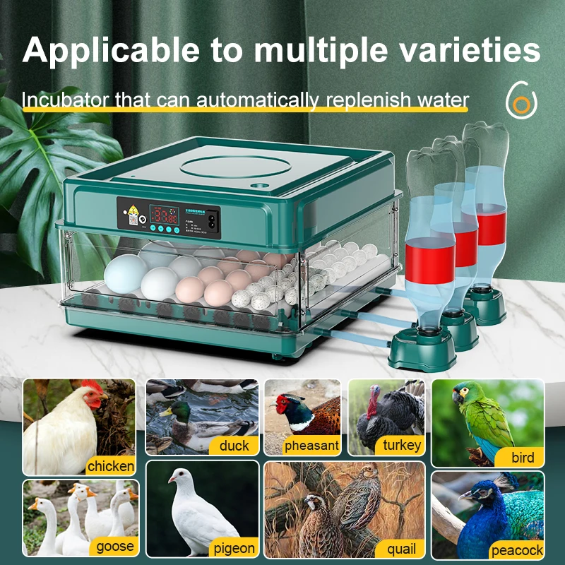 30 eggs incubator for Chicken Goose Bird Quail Automatic Incubation Equipment Hatchery Incubation Tools EU/US/UK Plug
