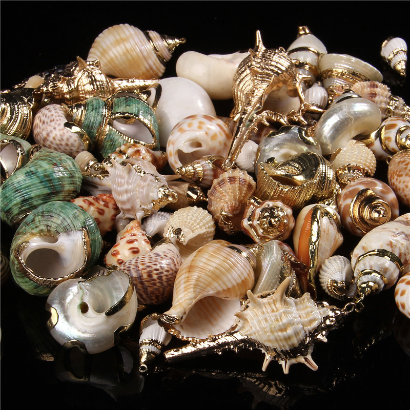 10Pcs Natural Shell Beads Pendant Sea Beach Conch Charm Beads Loose Spacer Beads For Jewelry Making Bracelet Crafts Accessories