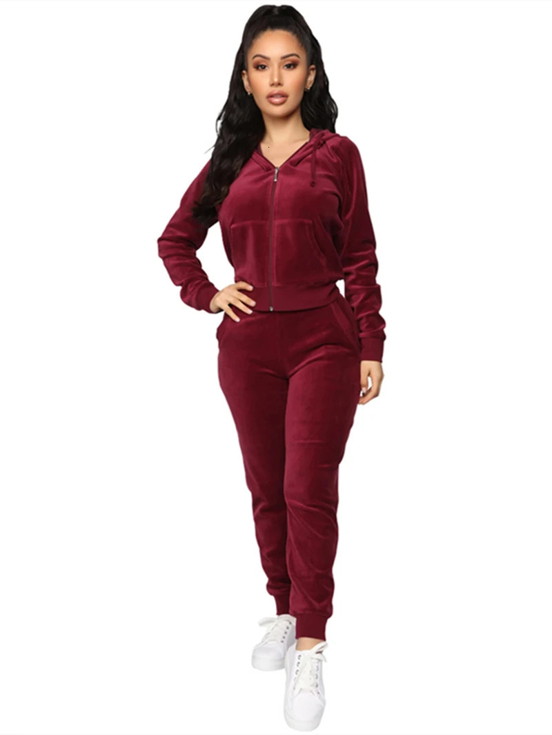 Autumn Winter Velvet Two Piece Sets Womens Outfits Clothes Zip Hooded Top Long Pants Suit Female Velour Tracksuit Fashion 241111