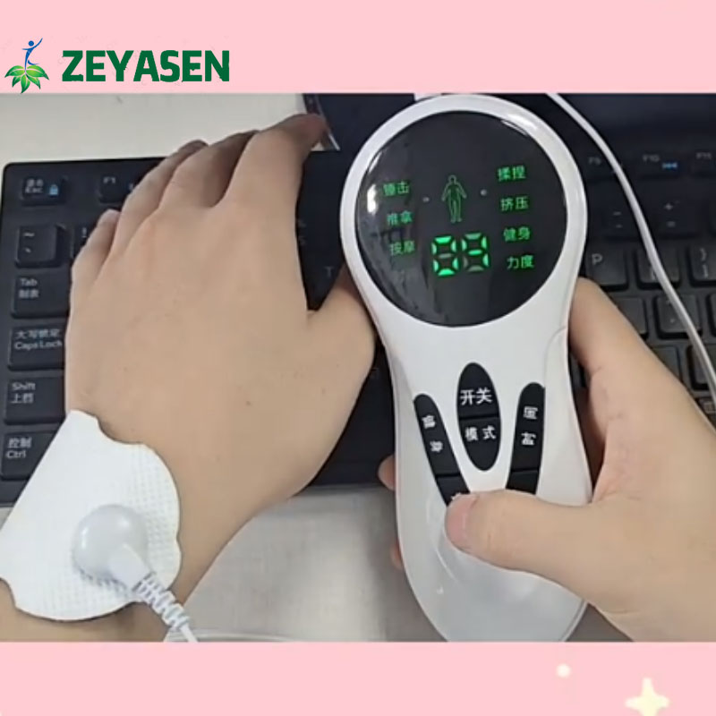 Zeyasen Electronic Pulse Massager 2 Channel Digital Low Medium Frequency Physiotherapy Instrument Acupuncture Massage Instrument