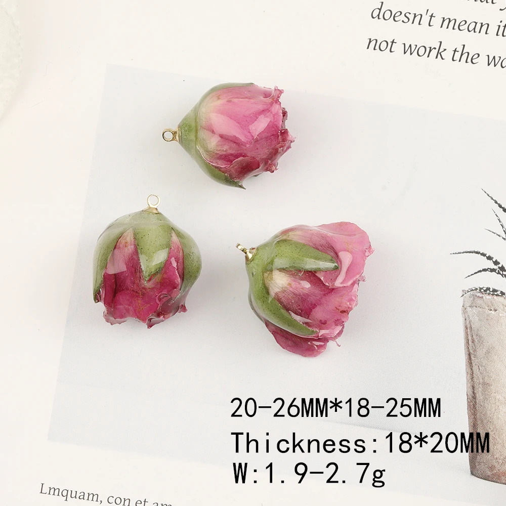 Cordial 20Pcs Natural Flower Charm/Handmade/Resin Pendant for Earrings/DIY Jewelry Discovery and Components #102692 241108