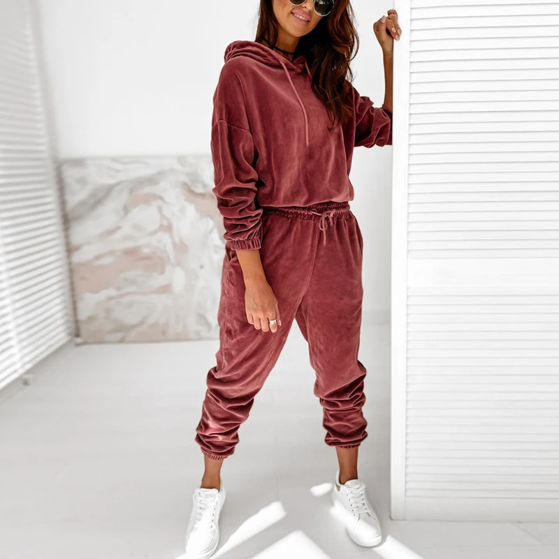 Autumn Winter Velour Tracksuit Women Velvet Set Woman Tracksuit Sets Winter Velvet Suit Two Piece Set Solid Color Hooded Suit 241111