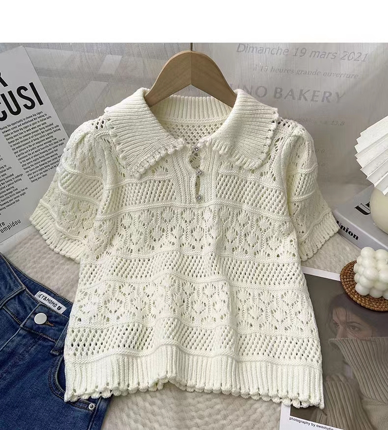 Korean 2023 Summer Hollow Out White Turn-down Collar Women Female Short Sleeve Top Casual Pullover Knit Crochet Clothes Simple