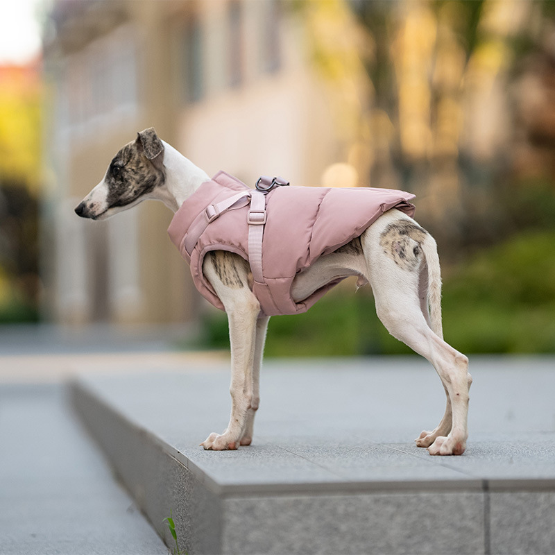 New Designer Winter Dog Jacket windproof large pet harness vest durable dog hunting coat