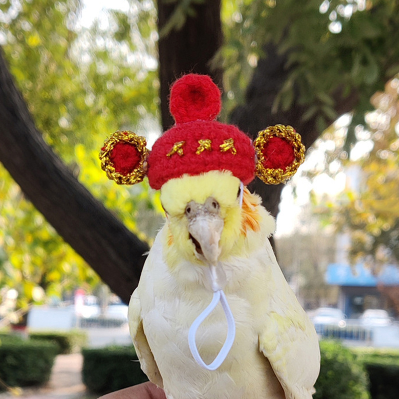 Toy Supplies Pet Caps Parrot Pet Hat Bird Knitted Hat Hamster Hat Hamster Accessories Dollhouse Supplies