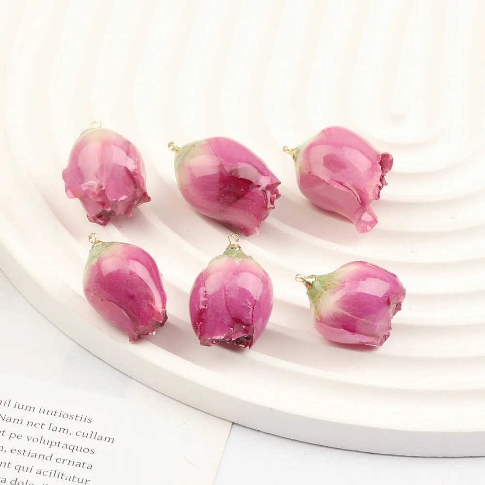 Cordial 20Pcs DIY Earring Making/Natural Flower Charm/Handmade/Necklace/Jewelry Accessories Resin Pendant #102691 241108