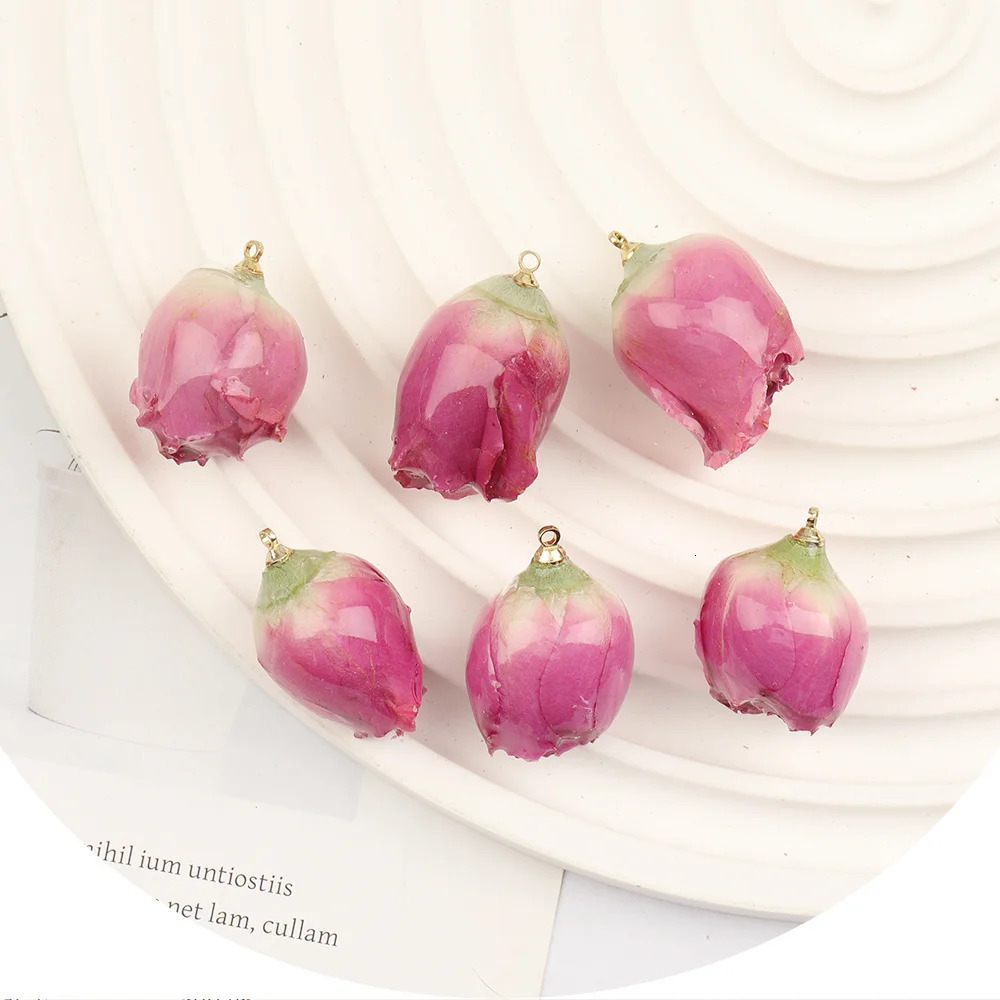 Cordial 20Pcs DIY Earring Making/Natural Flower Charm/Handmade/Necklace/Jewelry Accessories Resin Pendant #102691 241108