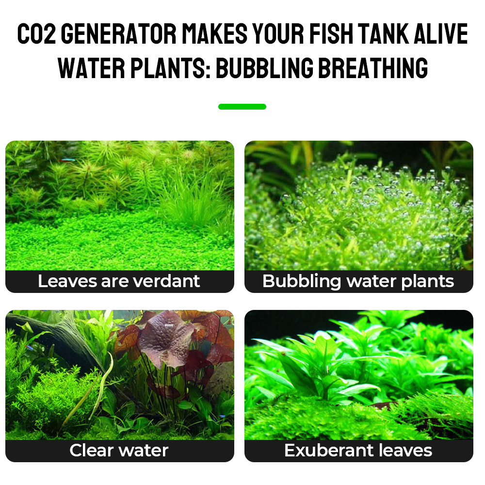Aquarium Equipment Bubble Counter Diffuser CO2 Generator System Kit DIY With Solenoid Valve For Aquatic Plant Growth