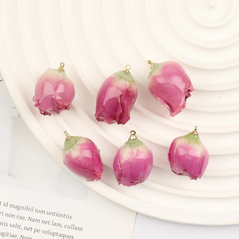 Cordial 20Pcs DIY Earring Making/Natural Flower Charm/Handmade/Necklace/Jewelry Accessories Resin Pendant #102691 241108