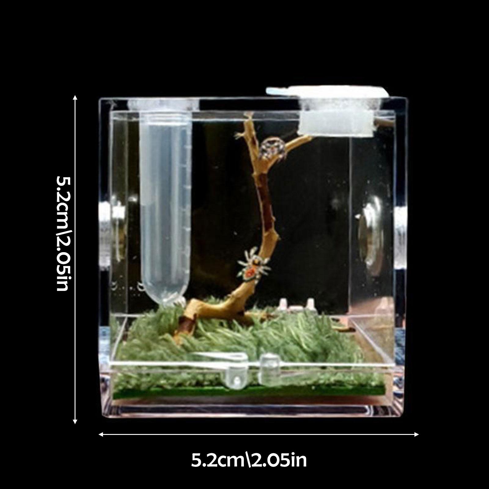 Spider Reptile Insect Feeding Box Reptile Breeding Box Terrarium Accessories Insect Box For Spider Cricket Snail Tarantula