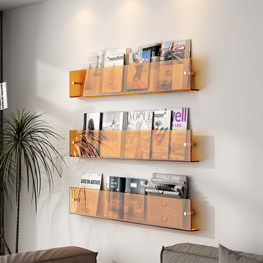 Acrylic Magazine Holder,Book Organizer,Magazine Rack Floor,Kids Book Display Shelves Wall Mounted