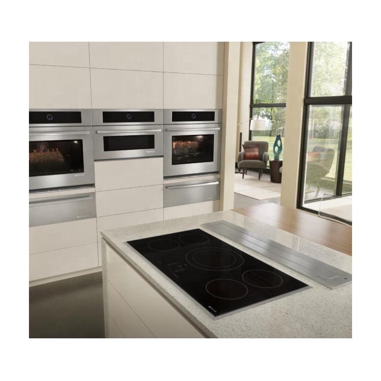 Induction Cooktop Electric Countertop Induction Invisible Cooker 120Volts 240Volts