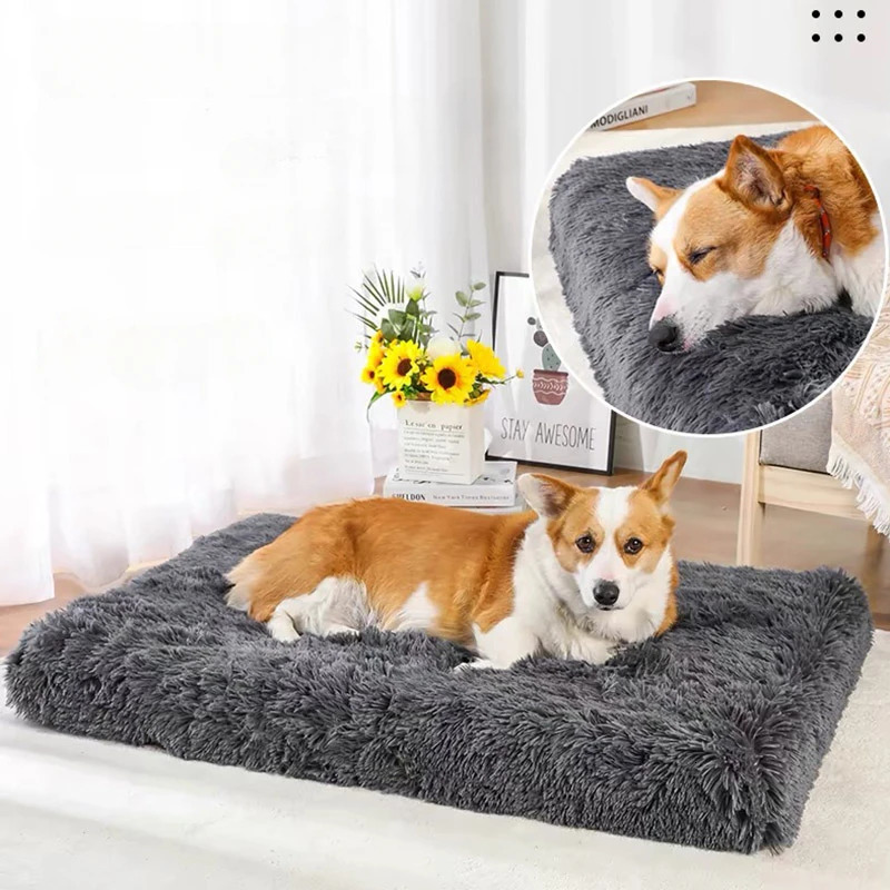 Super Soft Plush Dog Bed Mat Cat Beds for Small Medium Large Dogs Removable Cleaning Puppy Cushion Claming Pet 241111