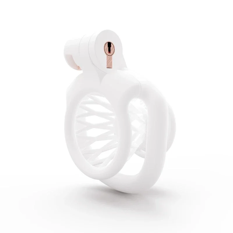 2024 New Male Negative Chastity Cage 3 Colors Cock Cage Abstinence Control Sissy Penis Lock with 4 Size Rings Adult Products 18+