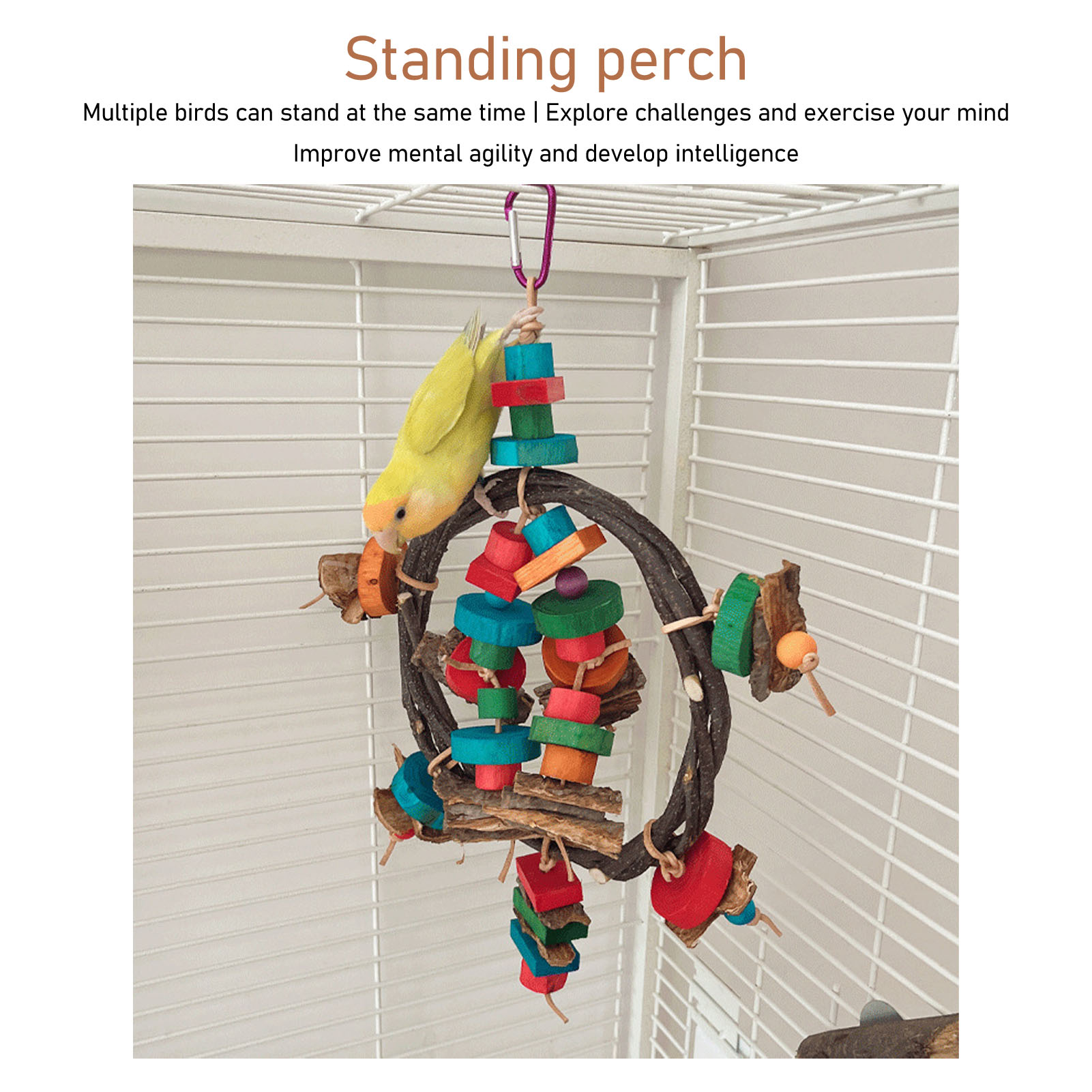 Bird Cage Hanging Ring Toys Fun Colorful Bite Resistance Wooden Parrot Chew Toys For Budgies Cockatiels Conures Finches