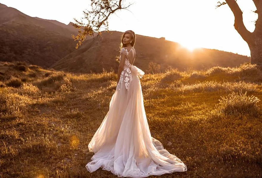 Crystal Design Champagne Elegant Capped Sleeves Wedding Dresses 2024 Bohemian Beach Lace Appliques Sexy Open Back Tulle Bridal Gowns