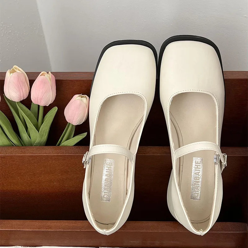 Women Square Toe Chunky Heel Shoes Women Autumn Silver Buckle Strap Mid Heels Mary Jane Shoes Ladies Dress Office Shallow Shoes 241112