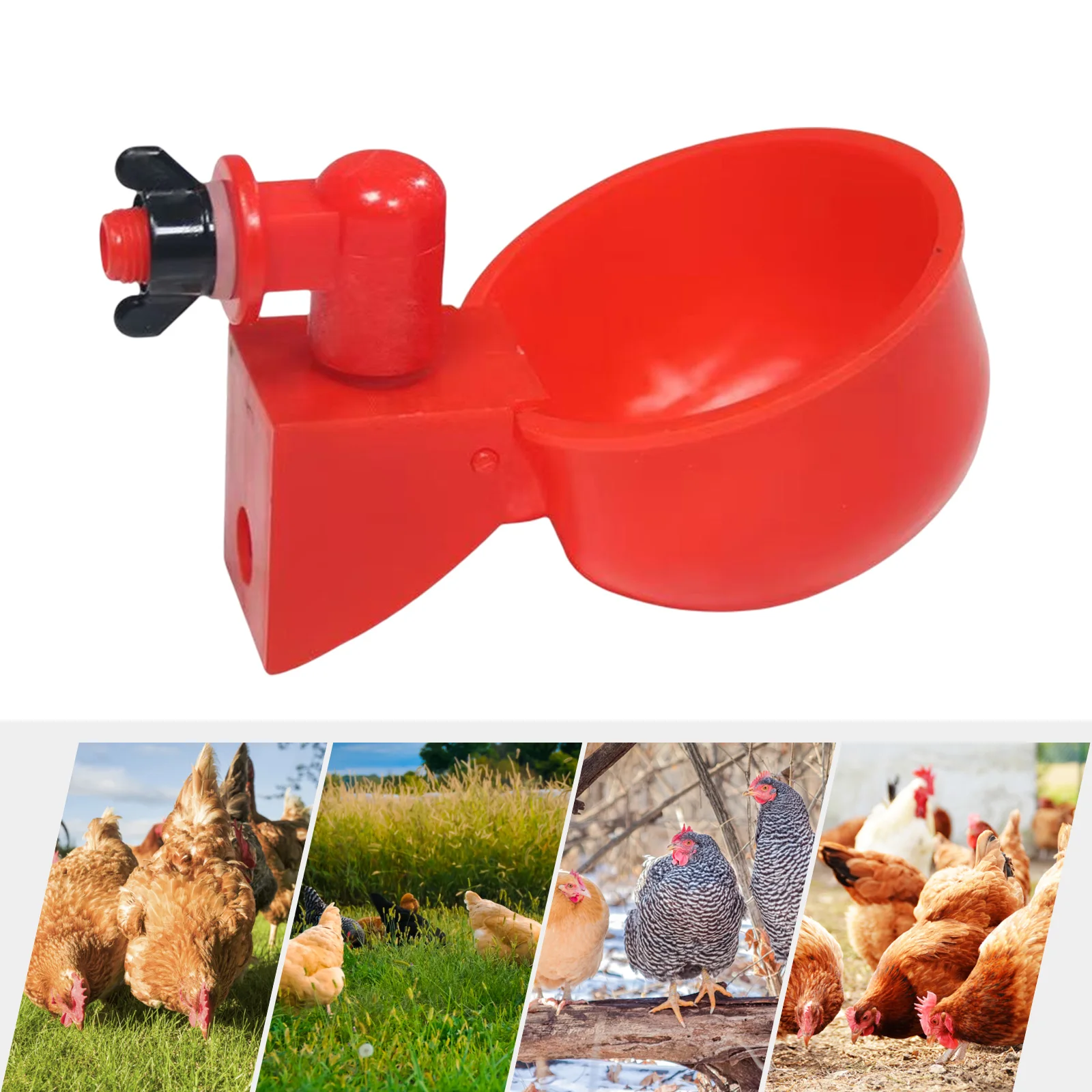 6/12Pcs Automatic Chicken Water Cup Farm Coop Poultry Waterer Bowl Drinking Water Feeder for Chicks Duck Goose Quail Drinker