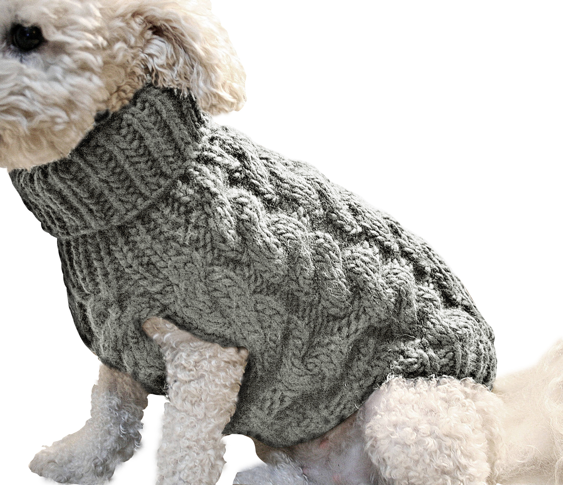 Autumn and winter solid colour twist knit warm and comfortable dog cute pet jumper new pet clothes