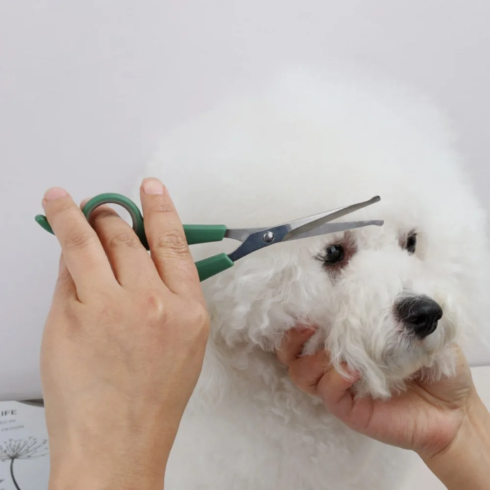 Tip Round Portable Professional with Durable Plastic Pet Accessories Dogs Hair Scissor Hair Cutting Tools Cat Grooming Scissors smile