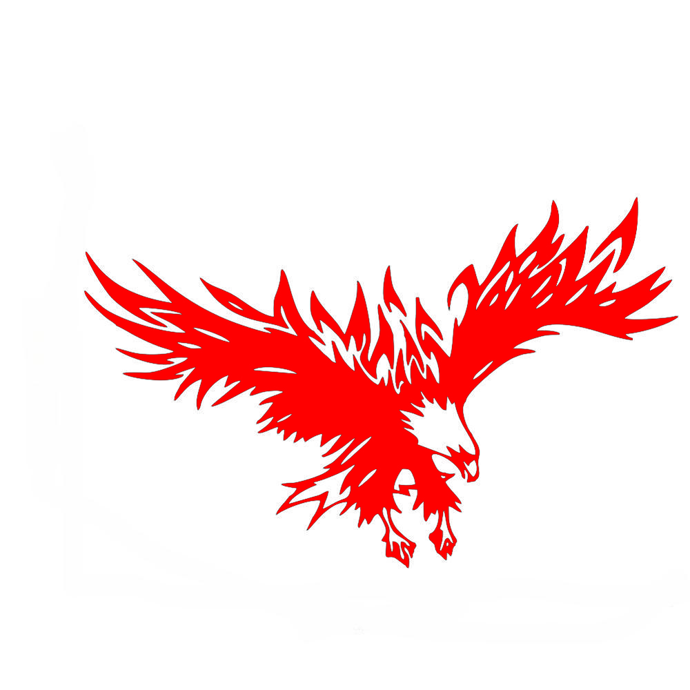 LYKX Personality Animal Eagle Car-Styling Car Door Vinyl Decal and Decals Hood Sticker Universal