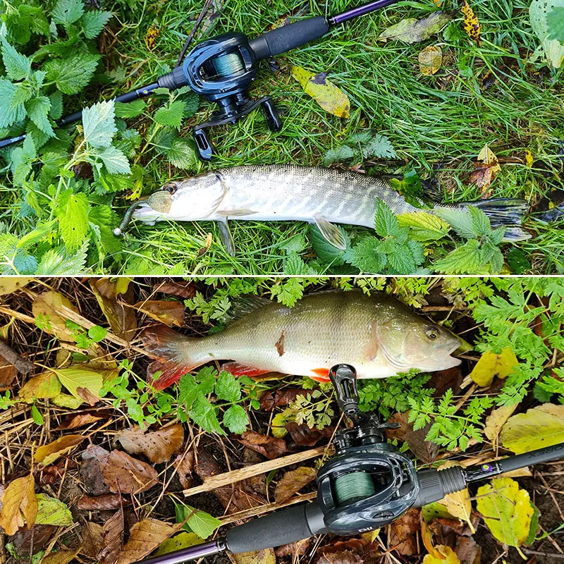 TSURINOYA ELF GENIUS 50 Bait Finesse Baitcasting 135g Ultra Magnetic Brake Fishing Reel For ing Light Game Wheel