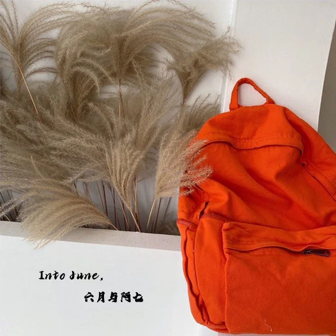 Womens Bag Trend Techwear Harajuku Canvas Aesthetic Gothic School Backpack Womens Rucksack Korean Mochila 241111