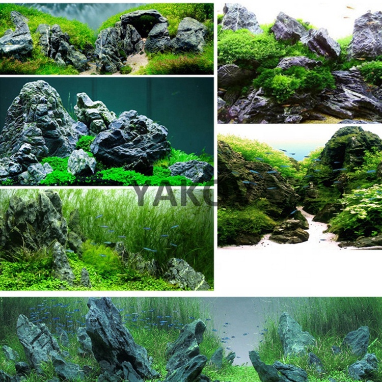 original fish tank decorative Pagoda stone/Seiryu stone for aquarium