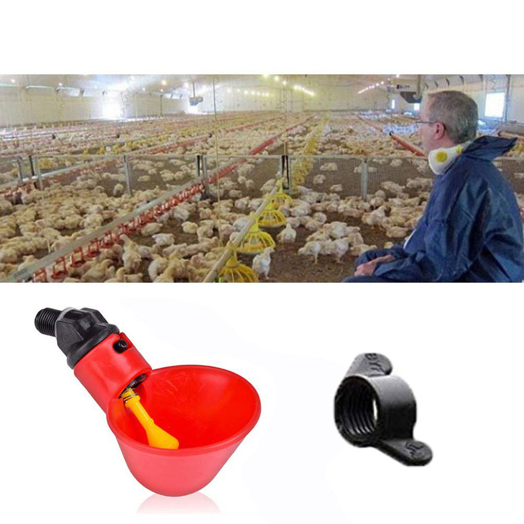 Feed Automatic Bird Coop Poultry Chicken Drinker Water Drinking Cups 24Pcs