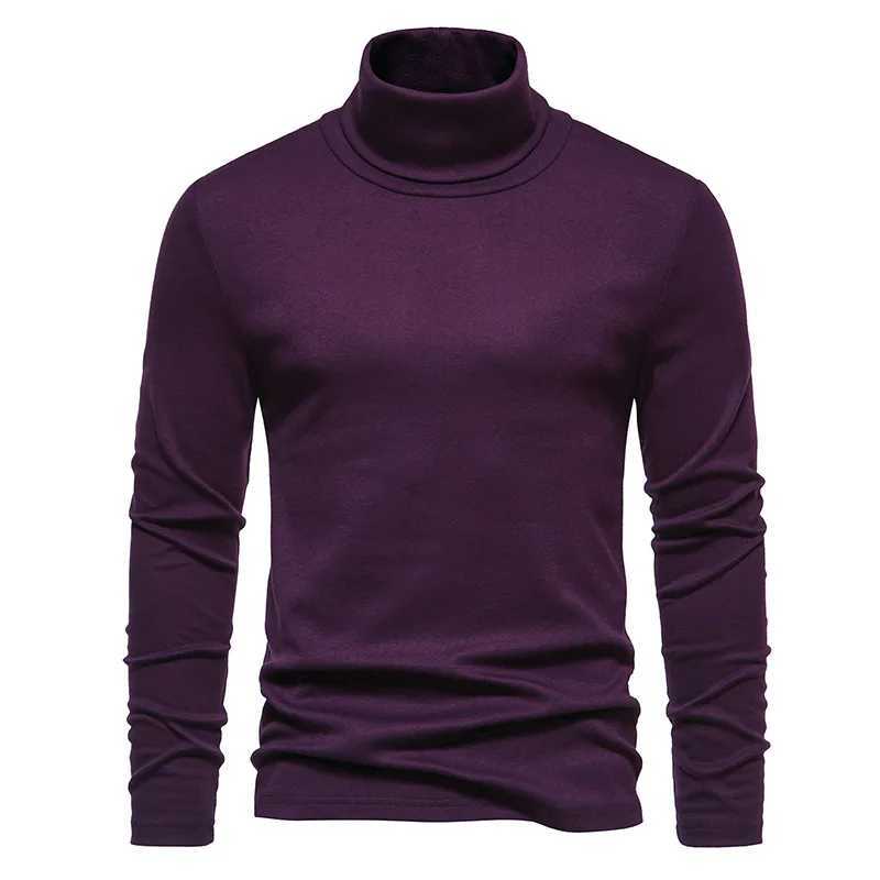 Mens purple collar sweater autumn winter long sleeved warm casual basic top slim fit warm hem mens 2 colors W2411111