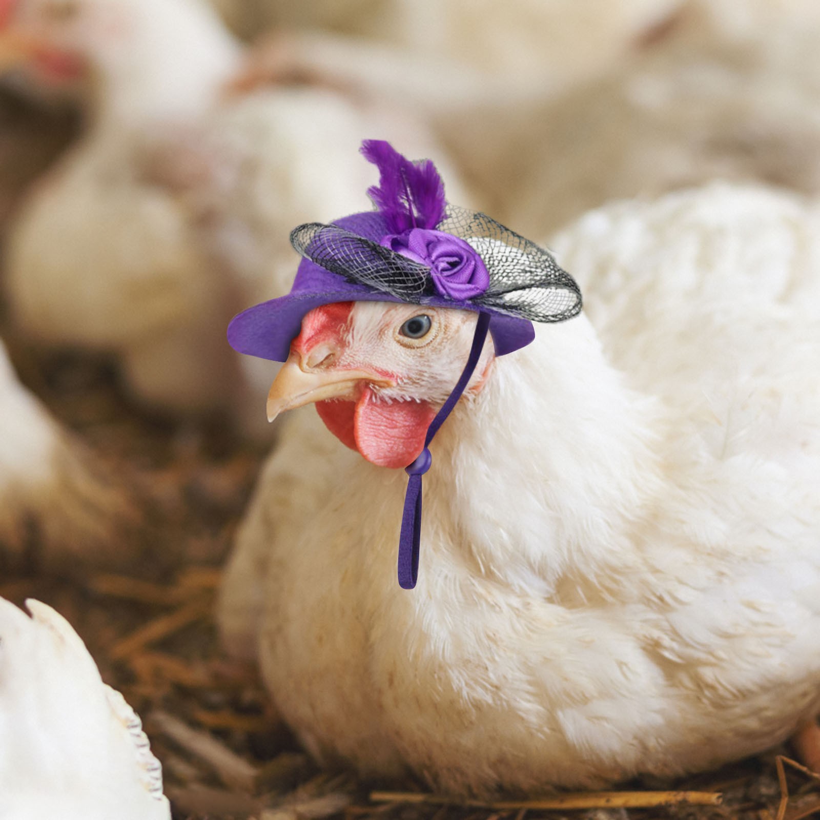 Chicken Hats For Hen Small Funny Chicken Accessories Feather Top Hat