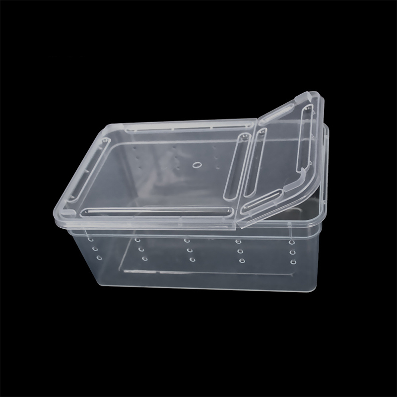 For Reptiles Spider Transparent Plastic Feeding Box Insect Food Feeding Container 19cmx12.5cmx7.5cm Terrarium