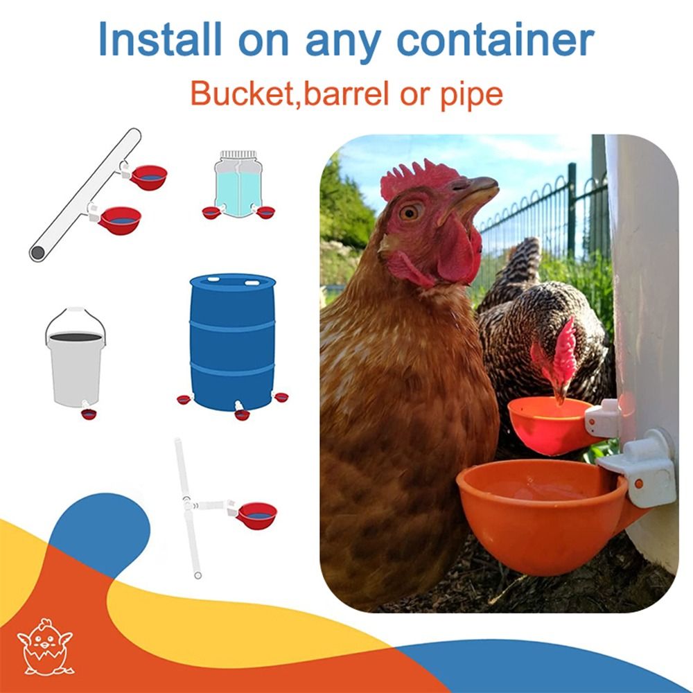 4PCS Poultry Kit Automatic Chicken Water Feeder Automatic Drinking Bowl Feeding Watering Supplie Drinking Cups