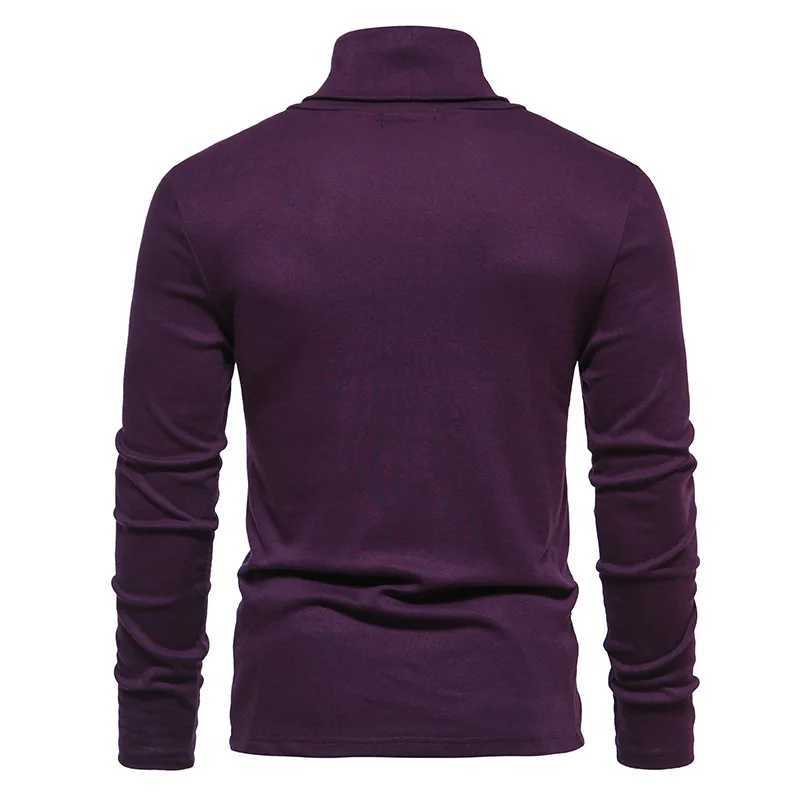 Mens purple collar sweater autumn winter long sleeved warm casual basic top slim fit warm hem mens 2 colors W2411111