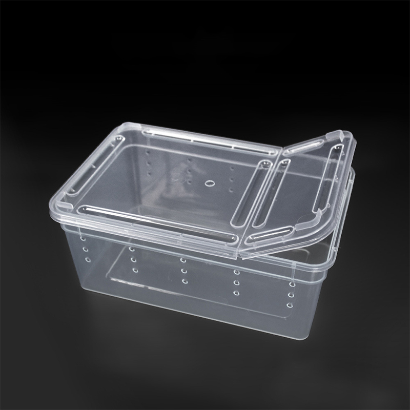 For Reptiles Spider Transparent Plastic Feeding Box Insect Food Feeding Container 19cmx12.5cmx7.5cm Terrarium