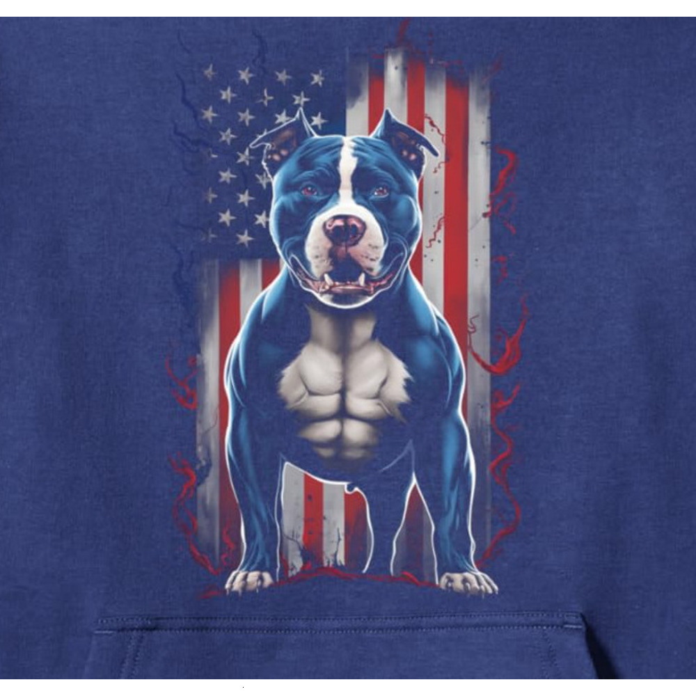 Hoodie for Mens Womens American Flag Pitbull Patriotic Fierce and Strong Graphic Pullover Hoodie Graphic Hoodies sweatshirt