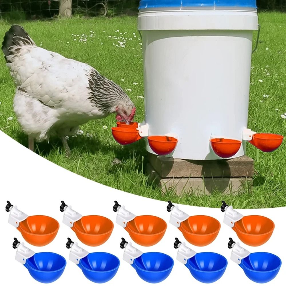 4PCS Poultry Kit Automatic Chicken Water Feeder Automatic Drinking Bowl Feeding Watering Supplie Drinking Cups