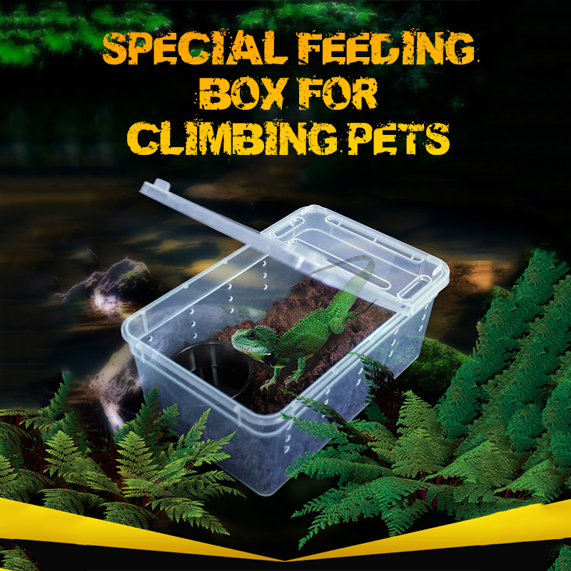 For Reptiles Spider Transparent Plastic Feeding Box Insect Food Feeding Container 19cmx12.5cmx7.5cm Terrarium