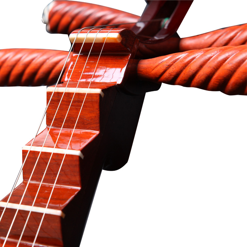 Professional Pipa Lute Instrument Rosewood Pi Pa Chinese Ethnic Musical Instruments Aldult Lute China Style Ukulele Guitar Gifts