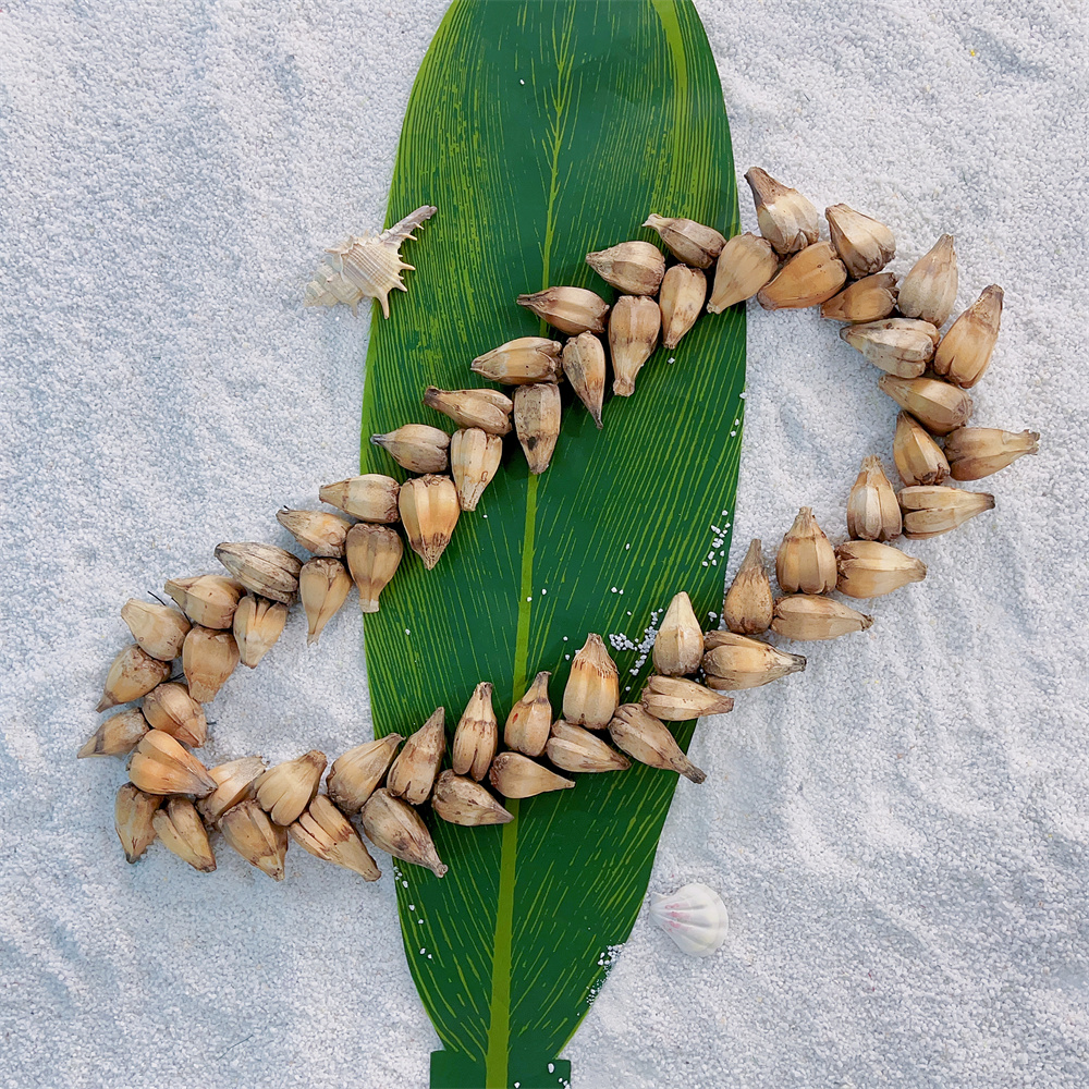 Samoan Mens Traditional Natural Ula Fala Necklace Formal Ocns Handmade Ceremonial Necklace Chic Women Brown Accessories b0a15