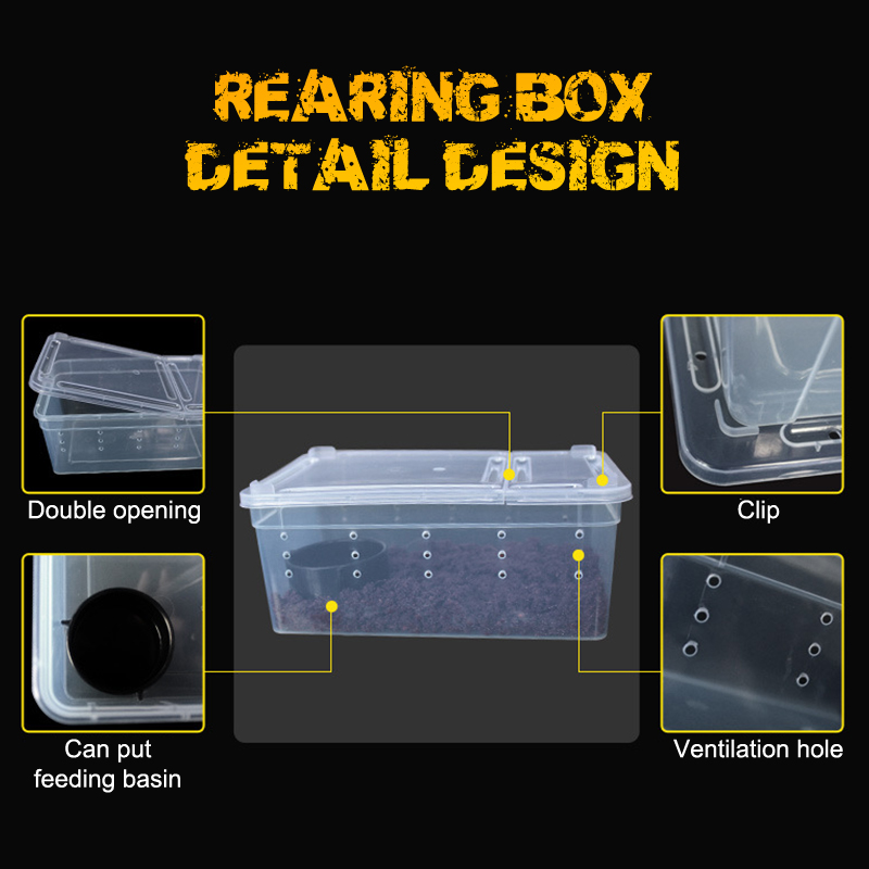 For Reptiles Spider Transparent Plastic Feeding Box Insect Food Feeding Container 19cmx12.5cmx7.5cm Terrarium