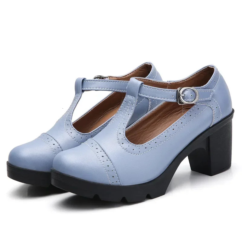 Fashion British Style Round Toe Mary Jane Shoes Leather Hollow Out Sqaure Heels Platform Retro Womens Dance Shoes 241112