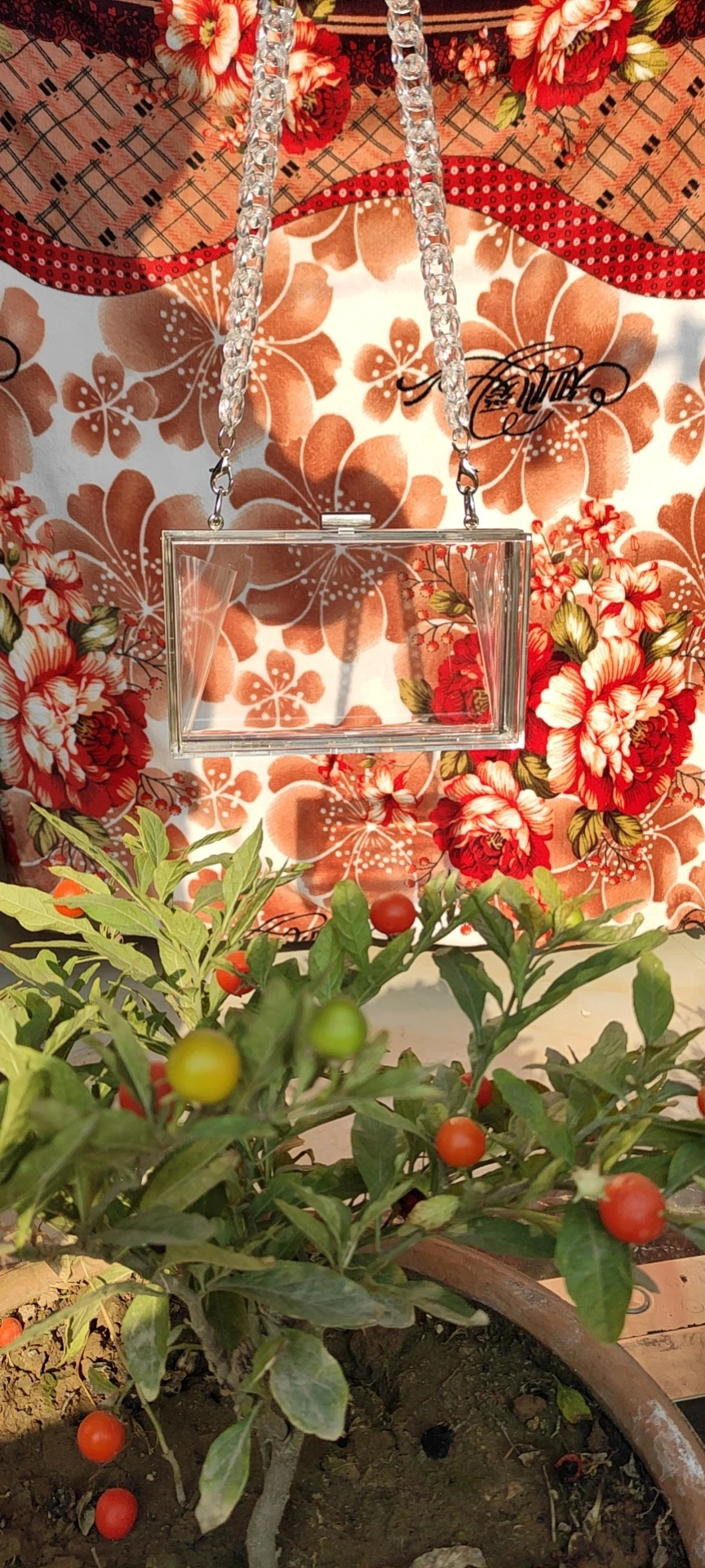 BELLA JOY Square transparent Acrylic bag for women style summer dinner bag for women cross bag 241112