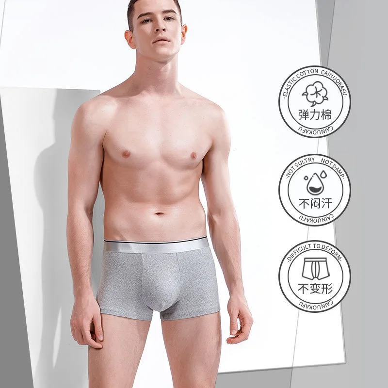 Boxer Male Underwear Mens Underwear Breathable and Sexy Boxer Solid Underwear Comfortable Plus Size Boxer Horses Lot L-5XL 241112