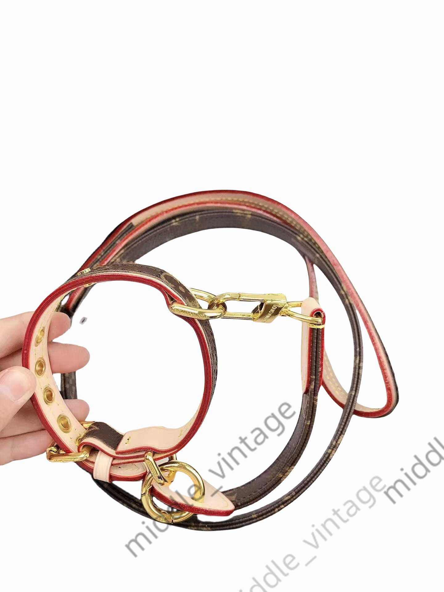 Designer Pet Traction Rope Dog Collar Pet Collar Made Of High Quality Leather For Small To Medium Dogs Cats Stylish Collar And Leash Set Comes In Beau